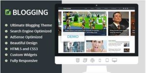 Blogging Theme Review