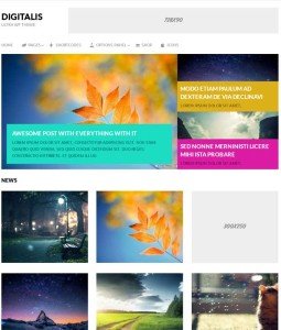 Digitalis WP Theme
