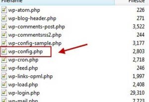Edit the file, “wp-config.php”