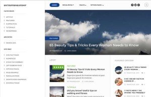 Entrepreneurship - Elegant WordPress Theme for Magazine Site