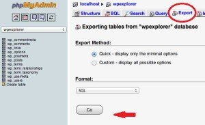 Creating a WordPress Database with a New Host Server
