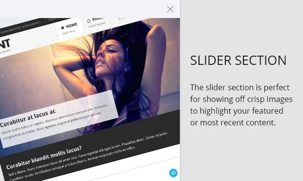 Slider and Featured Post Section in the Point Pro Theme
