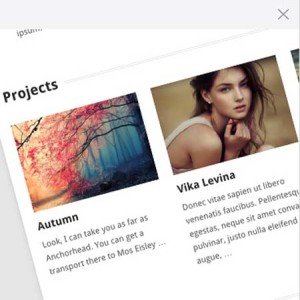 Projects and Team Section