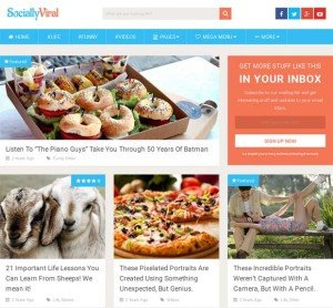 SociallyViral WordPress Theme