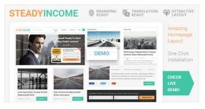 SteadyIncome Theme Review