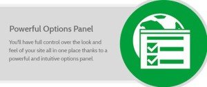 Powerful Option Panel in WordX Theme