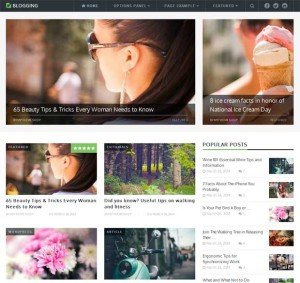 Blogging MTS 3 Column WP Theme