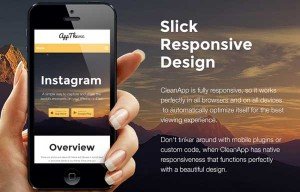CleanApp Theme Review