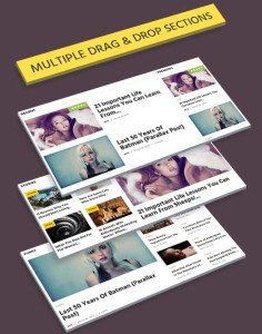 Drag and Drop Page Builder Option