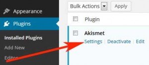 how-to-active-akismet-plugin-step2