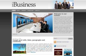 iBusiness WP Theme