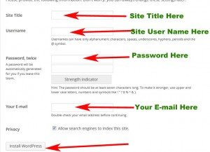 install-wordpress-local-server-final-step