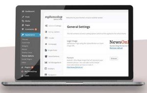 NewsOnline Theme Option Panel