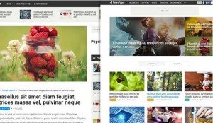 NewsPaper Theme with Elegant Design
