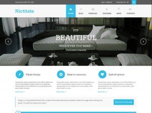 nictitate-free-responsive-theme