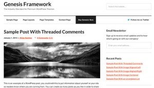 Sample Genesis Theme