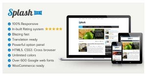 Splash, Mythemeshop WP Blog Theme