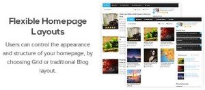 Splash Theme with Attractive Design