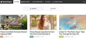 Tabbed Homepage Section in NewsPaper Theme