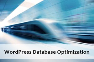WordPress Databse Optimization
