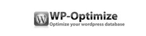 WP Optimize